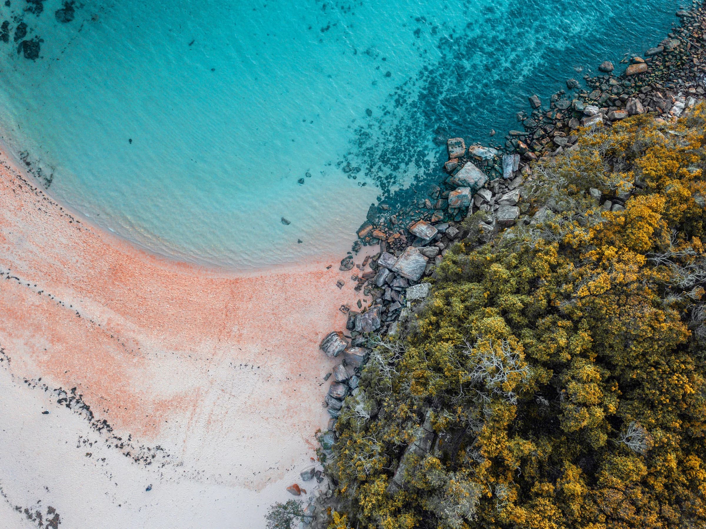 Clear turquoise water and coastal bushland beside an Australian beach