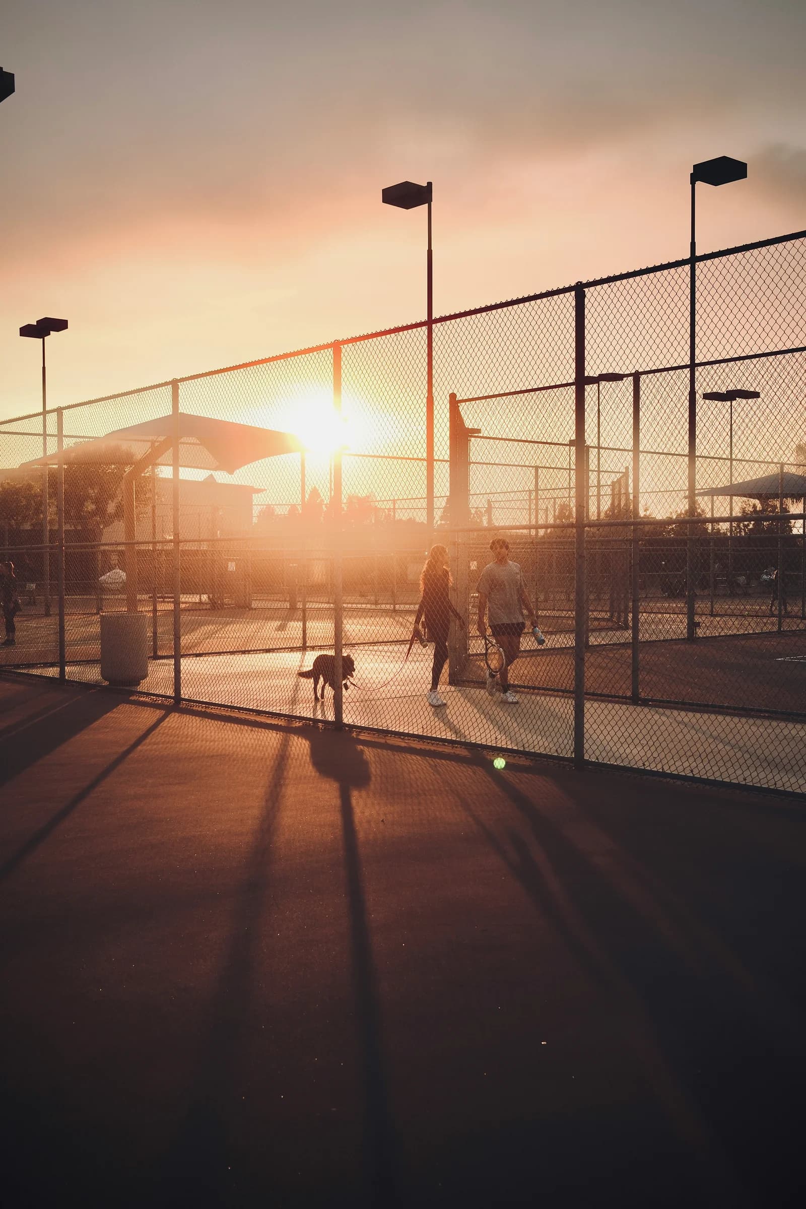 Outdoor courts in the warm evening light